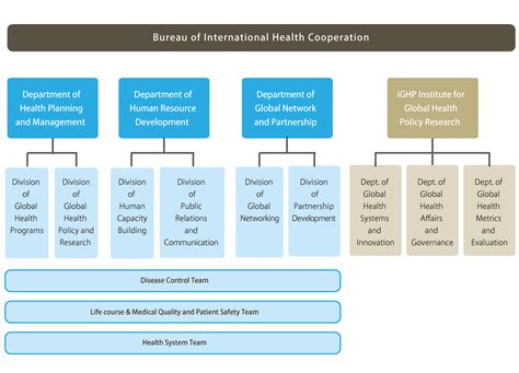 BUREAU OF INTERNATIONAL HEALTH COOPERATION .